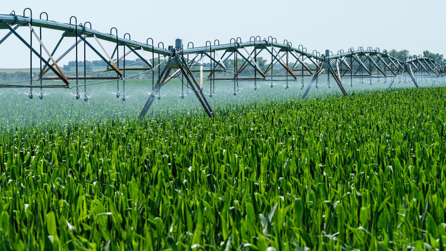 Top Innovations in Controlled-Environment Agriculture