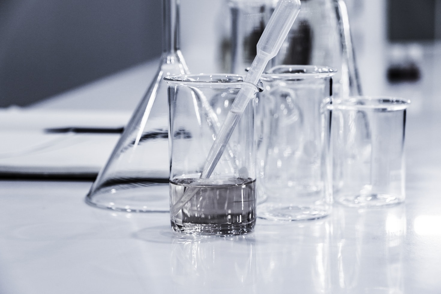 The Science Behind FDF Labs’ Hydroponic Experiments